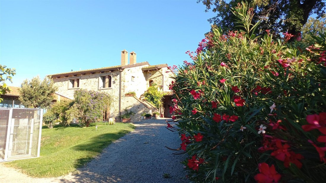 Scansano, Tuscany, Italy 5 - 18592783