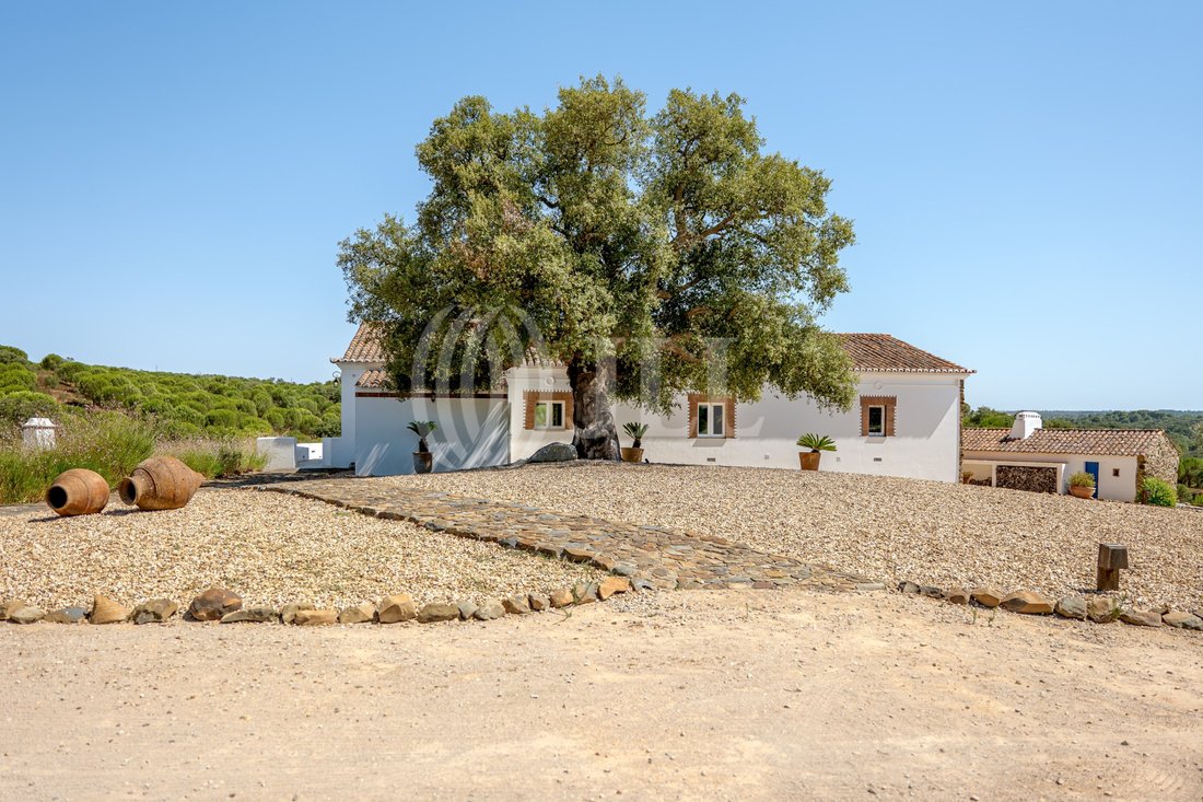 Estate in Grandola e Santa Margarida da Serra, Setubal, Portugal 5 - 18592951