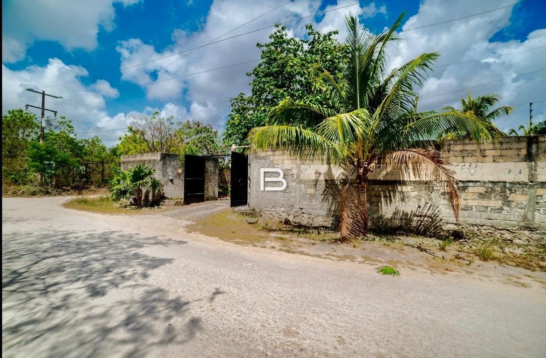 House in Alfredo V. Bonfil, Quintana Roo, Mexico 2 - 18588290