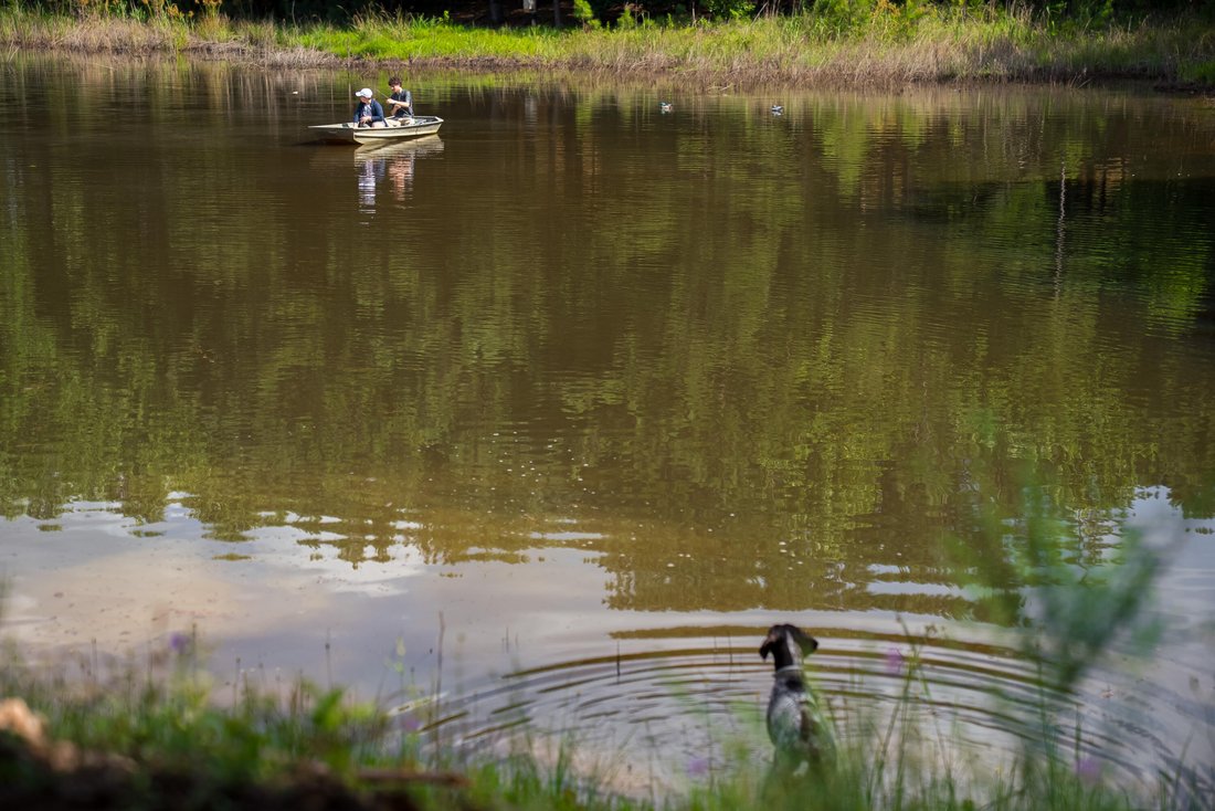 Land in Aiken, South Carolina, United States 4 - 18588990