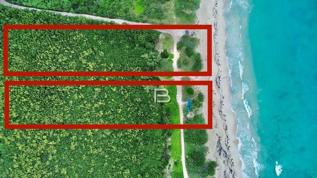 Land in Puerto Morelos, Quintana Roo, Mexico 2 - 18588267
