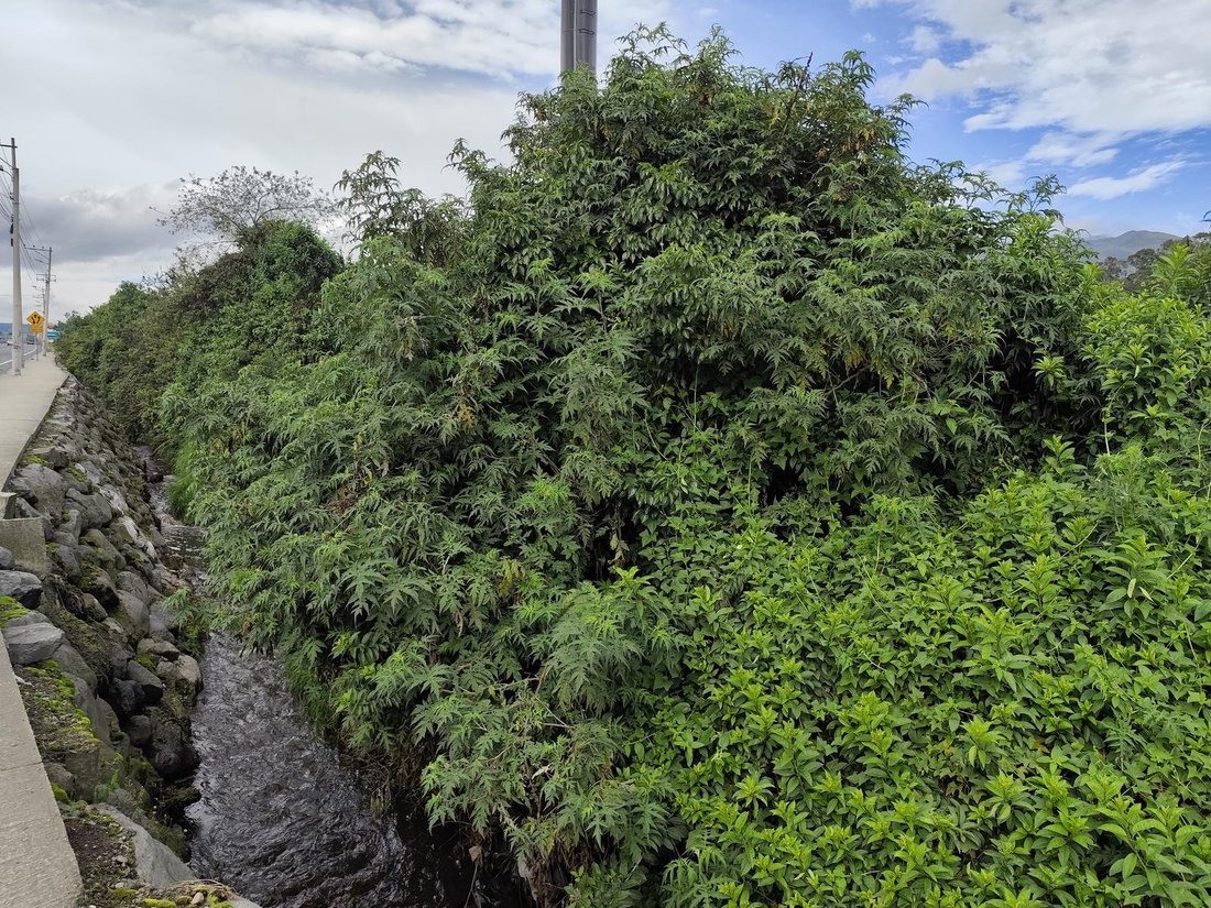 Land in Machachi, Pichincha, Ecuador 5 - 18588717