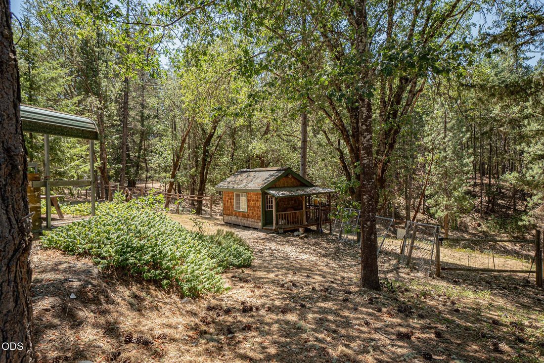 House in Merlin, Oregon, United States 5 - 18591334