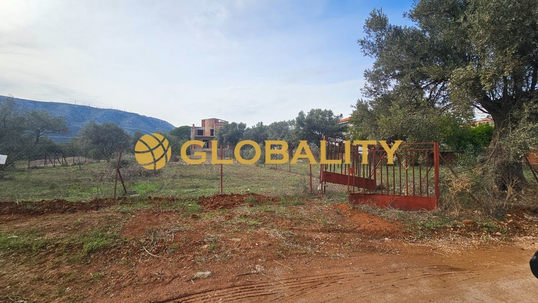 Land in Paiania, Attica, Greece 1 - 18589838