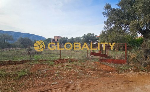 Land in Paiania, Attica, Greece 1