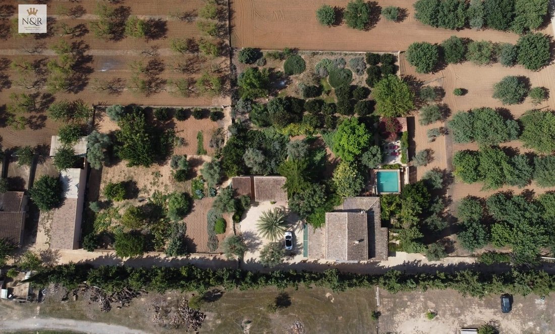 Country House in Inca, Balearic Islands, Spain 4 - 18592272