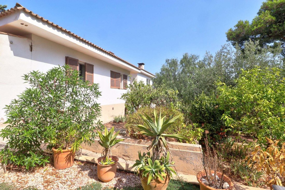 Villa in Calvia, Balearic Islands, Spain 4 - 18590866