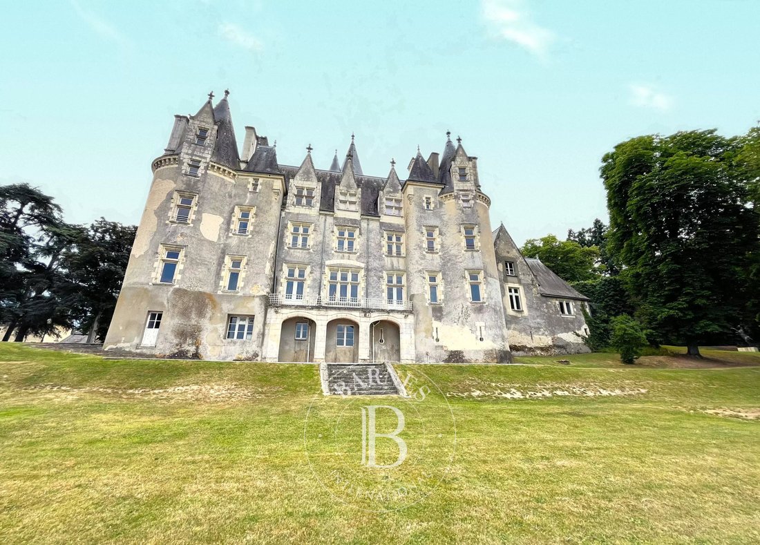 Castle in Château-du-Loir, Montval-sur-Loir, France 3 - 18575022