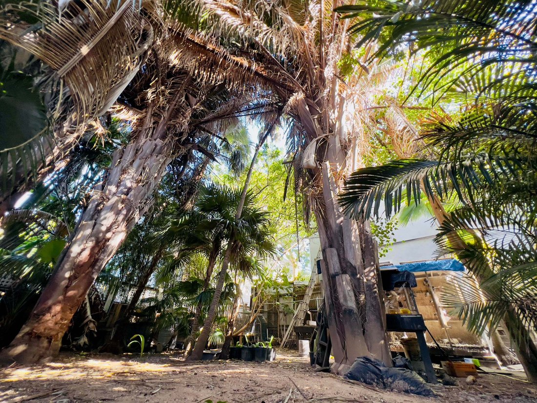 Haus in Key West, Florida, Vereinigte Staaten 4 - 18590847