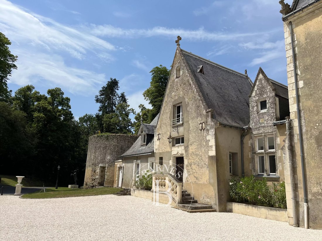 Castle in Château-du-Loir, Montval-sur-Loir, France 2 - 18575022