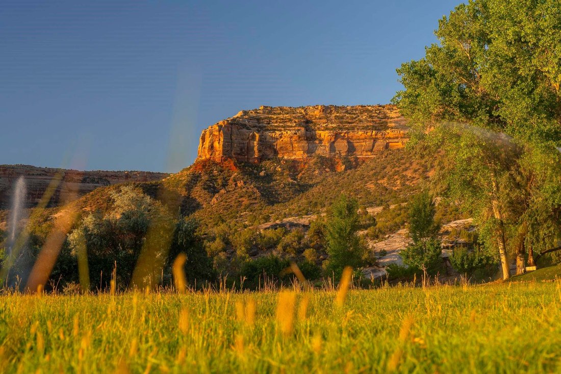 House in Grand Junction, Colorado, United States 2 - 18590845