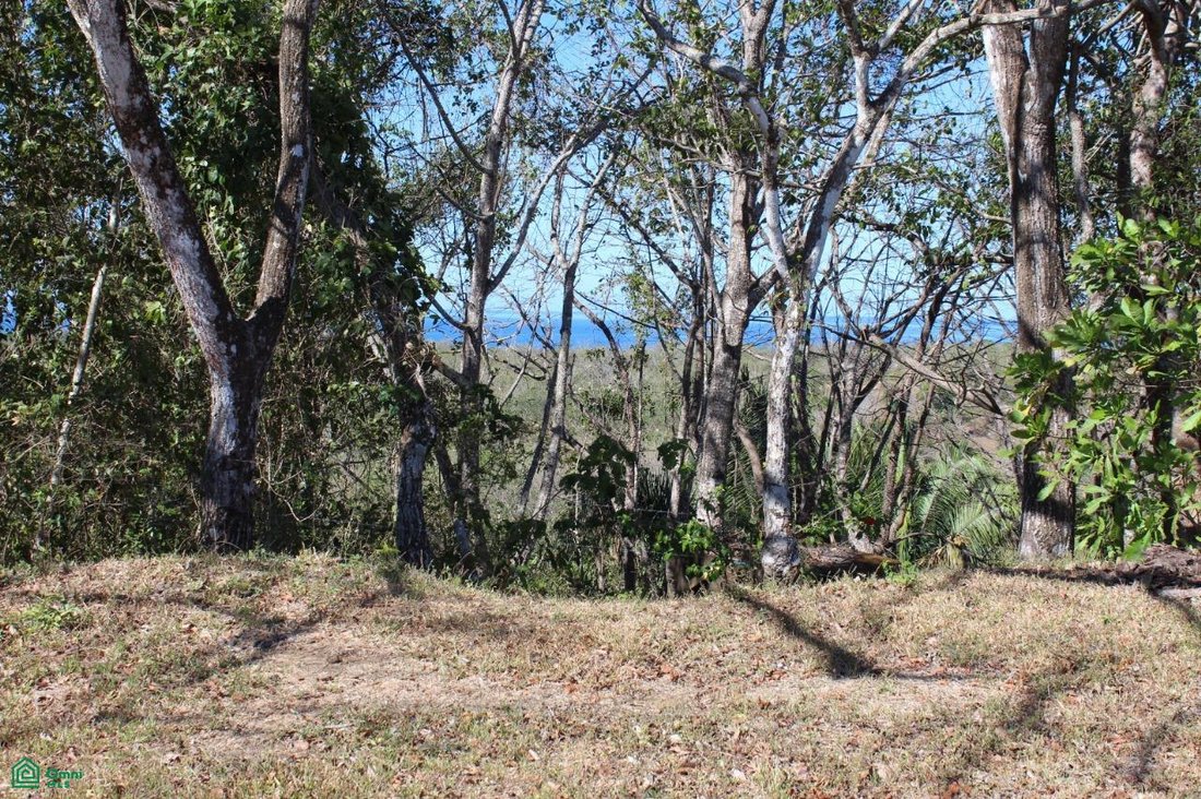 Land in Cuajiniquil, Santa Cruz, Costa Rica 4 - 17804863