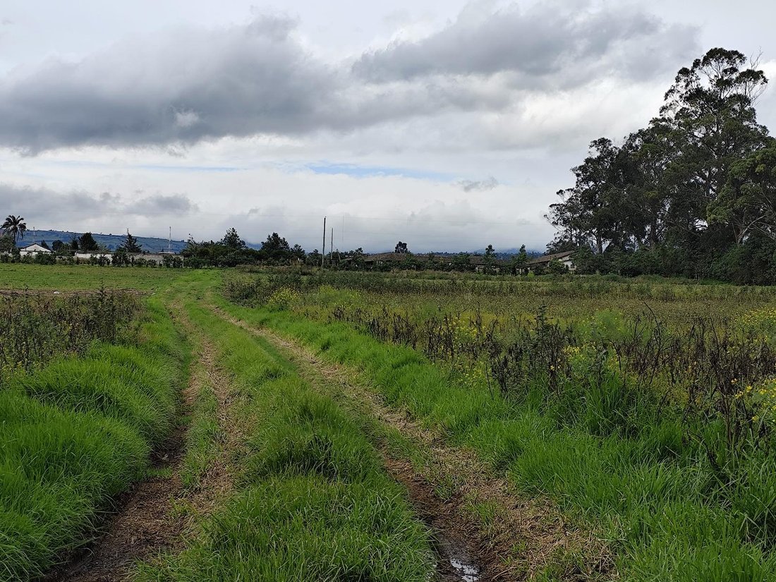 Land in Machachi, Pichincha, Ecuador 4 - 18588717