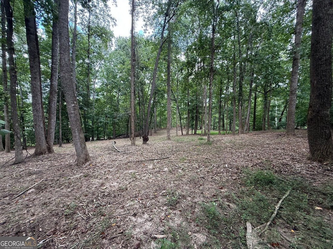 Land in Gainesville, Georgia, United States 1 - 17258101