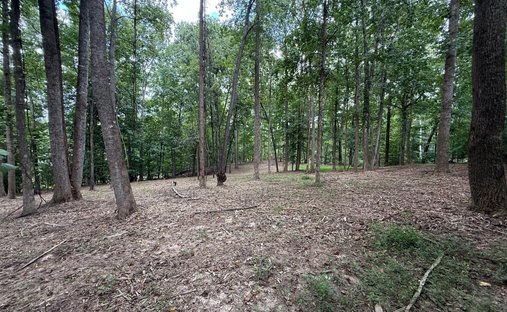 Terreno a Gainesville, Georgia, Stati Uniti 1