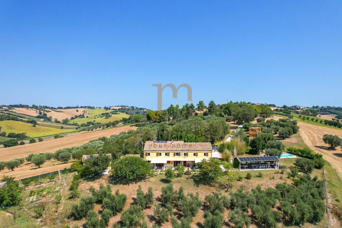 Estate in Scapezzano, Senigallia, Marche 2 - 18590303
