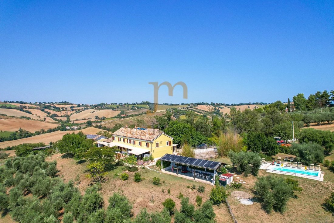 Estate in Scapezzano, Senigallia, Marche 1 - 18590303