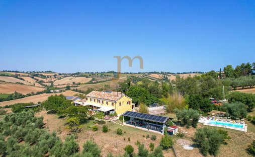 Estate in Scapezzano, Senigallia, Marche 1