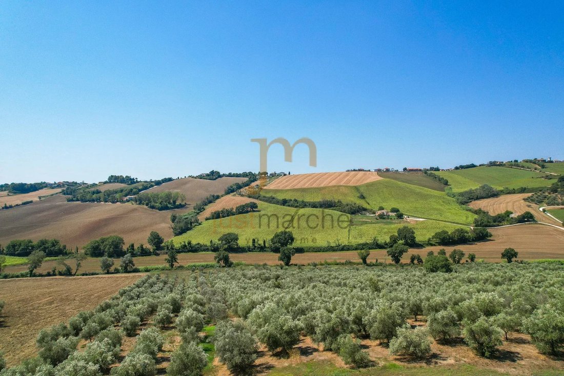 Estate in Scapezzano, Senigallia, Marche 5 - 18590303