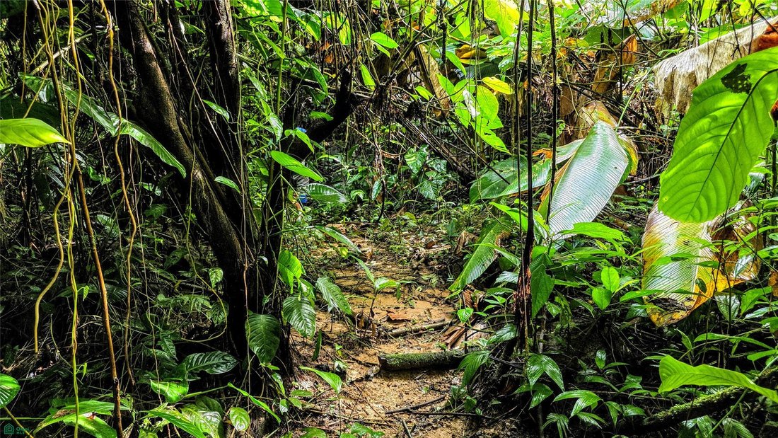 Land in Savegre de Aguirre, Puntarenas Province, Costa Rica 4 - 17810747
