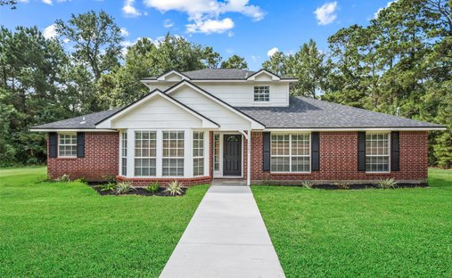House in Conroe, Texas, United States 1