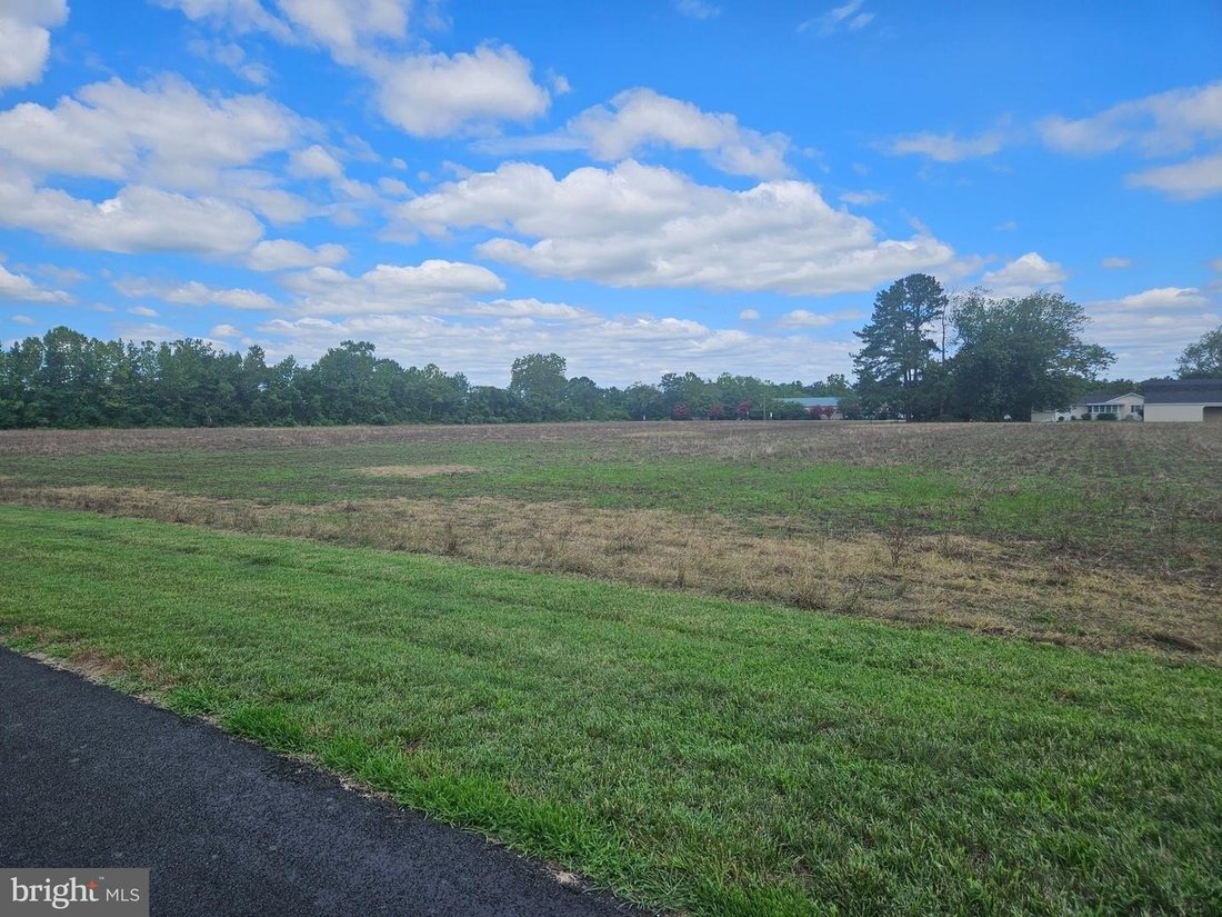 House in Denton, Maryland, United States 5 - 18593843