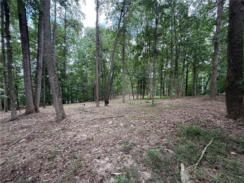 Land in Gainesville, Georgia, United States 1 - 17259794