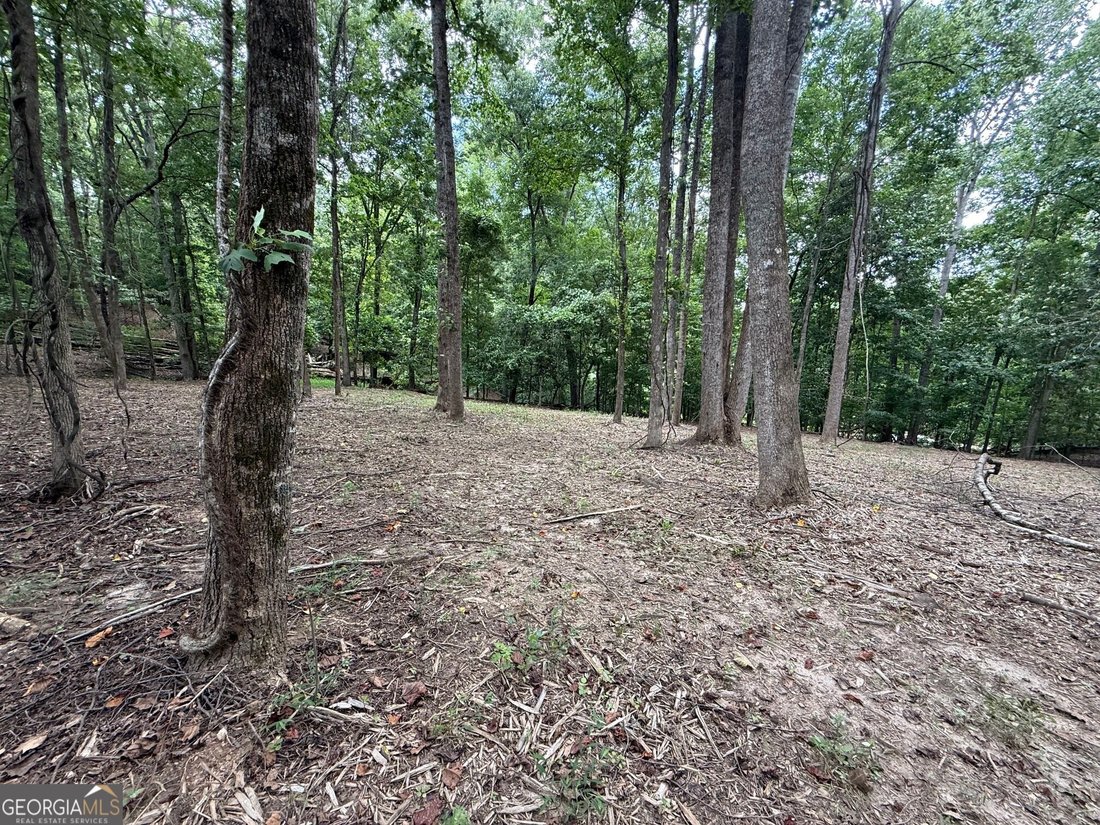 Land in Gainesville, Georgia, United States 2 - 17258101