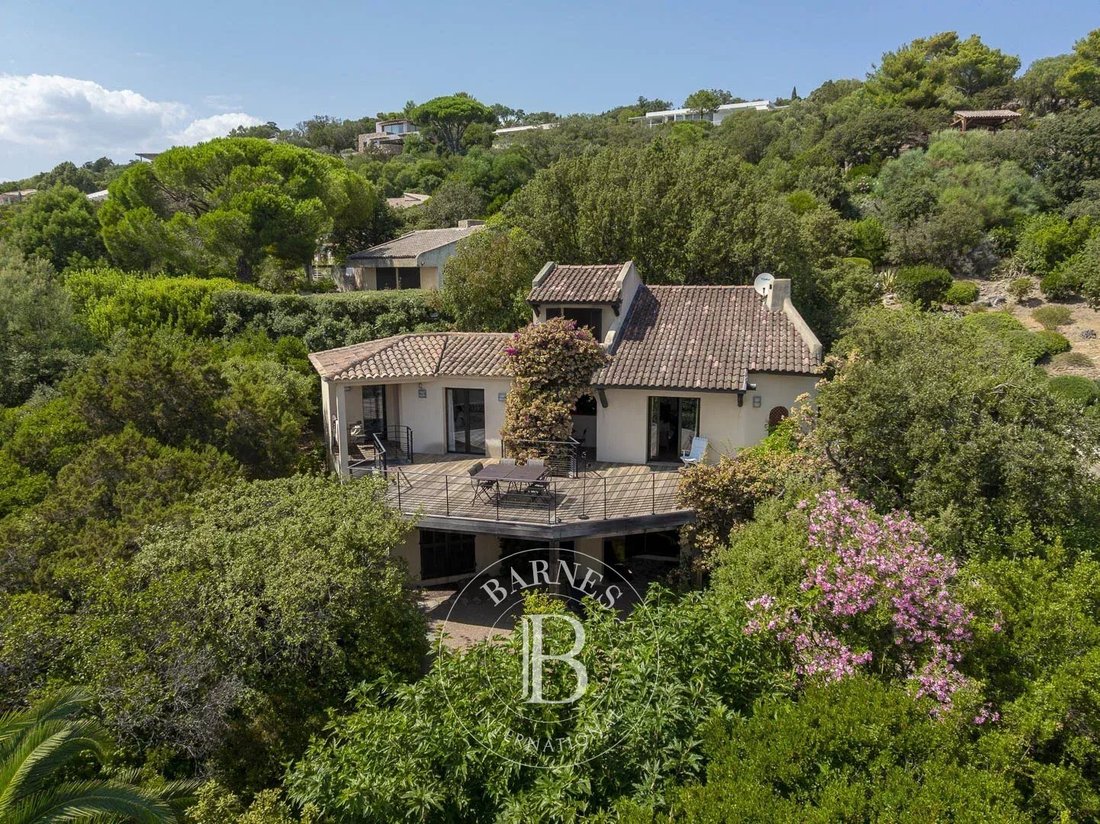 Villa in Lecci, Corsica, France 3 - 18590235