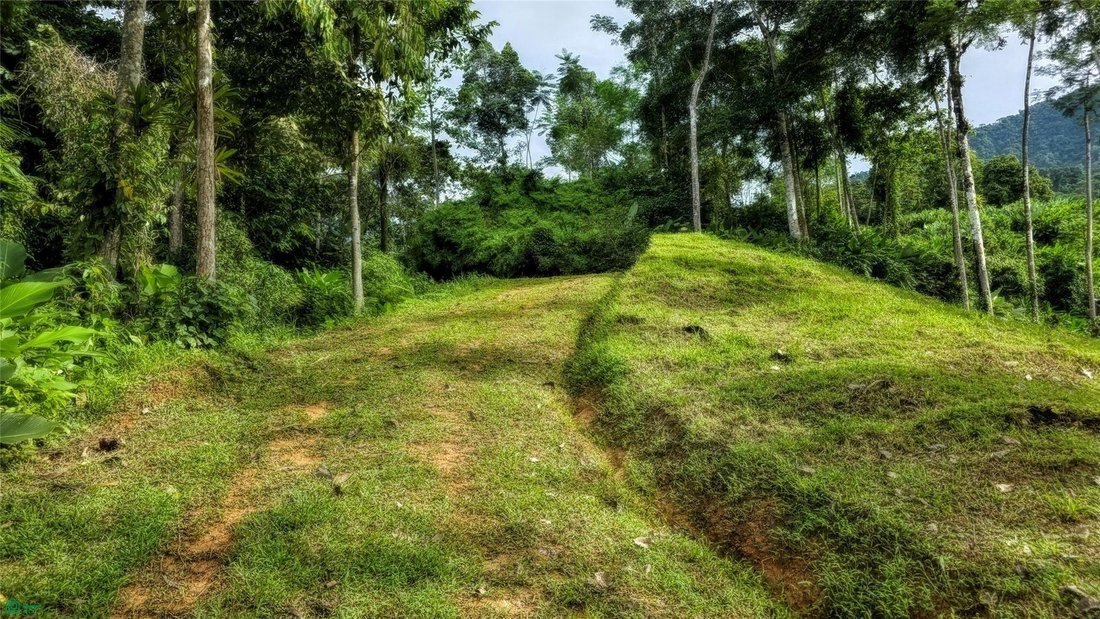 Land in Savegre de Aguirre, Puntarenas Province, Costa Rica 1 - 17810747