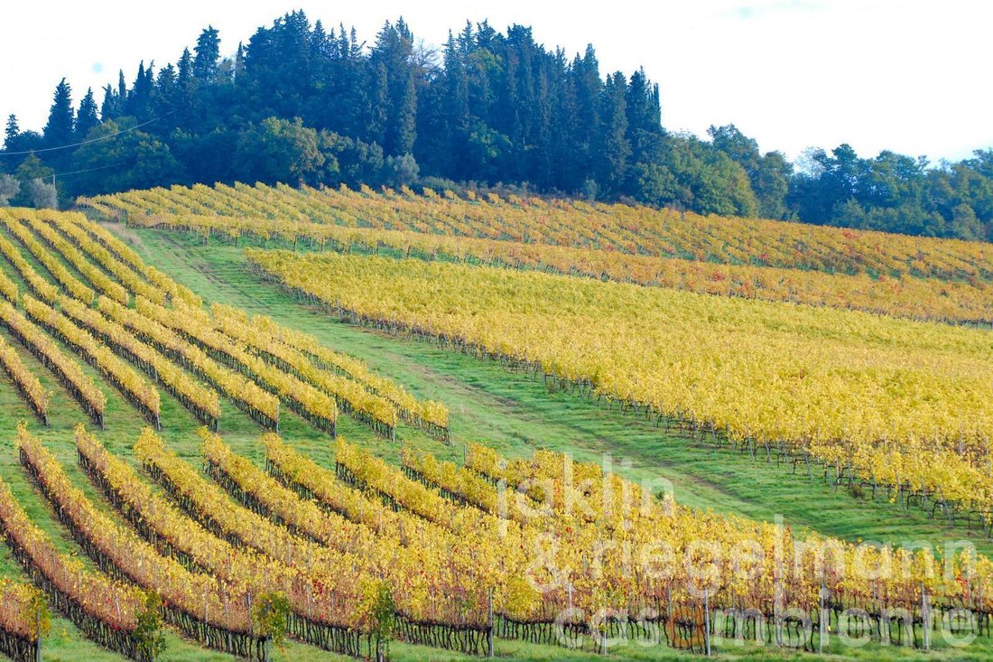 Farm Ranch in Novoli - Parco San Donato, Florence, Italy 1 - 18589139