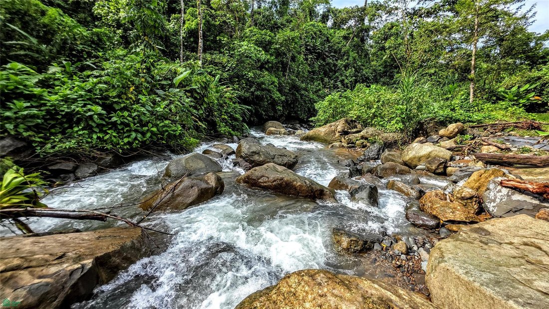 Land in Savegre de Aguirre, Puntarenas Province, Costa Rica 2 - 17810747