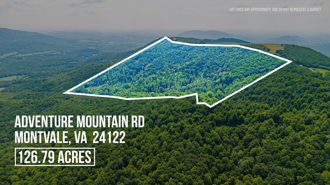 House in Bedford, Virginia, United States 1 - 18507259