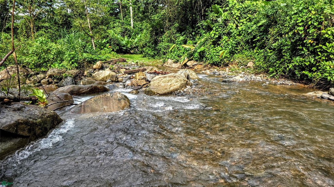 Land in Savegre de Aguirre, Puntarenas Province, Costa Rica 3 - 17810747