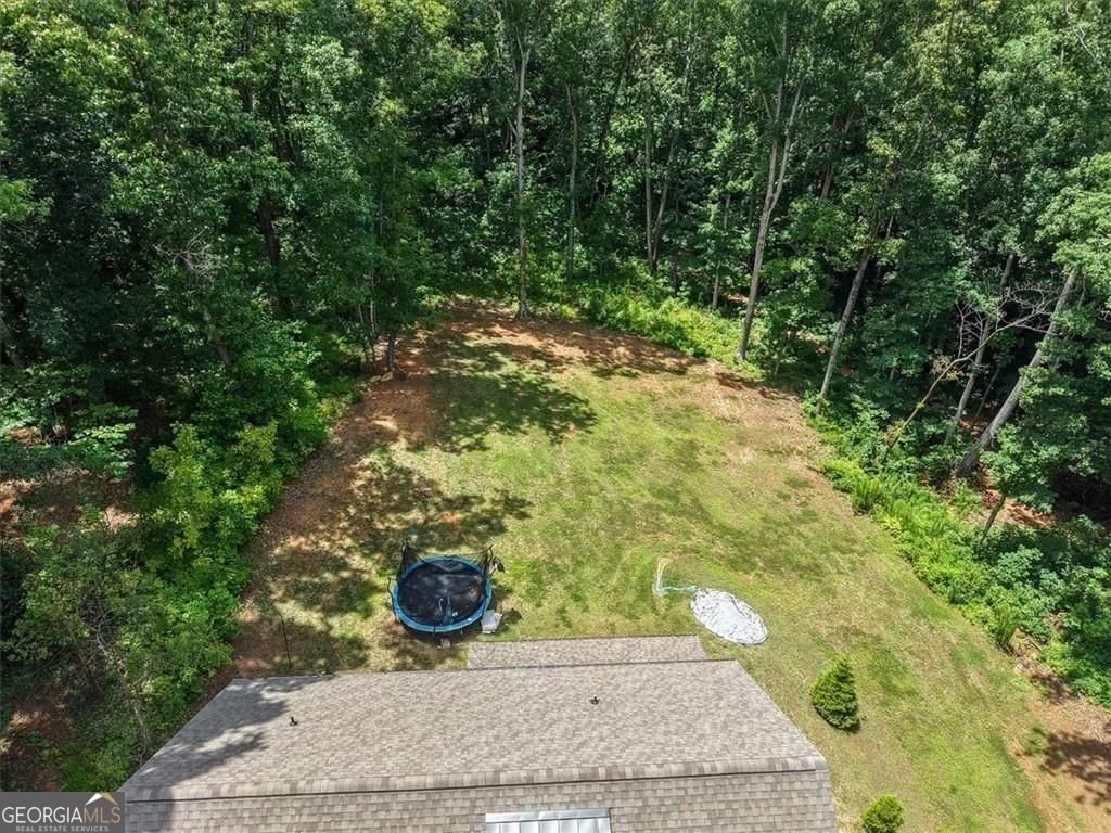 House in Acworth, Georgia, United States 5 - 18503227