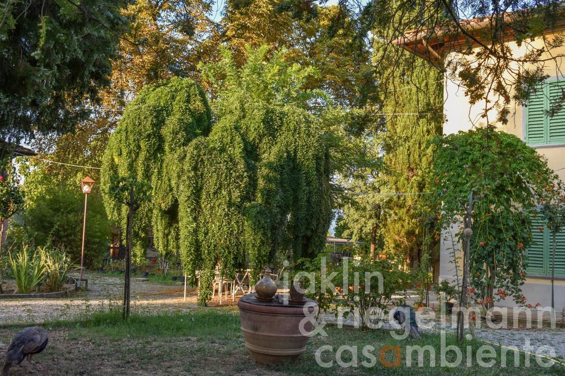 Domaine à Centre, Arezzo, Toscane 2 - 18589320
