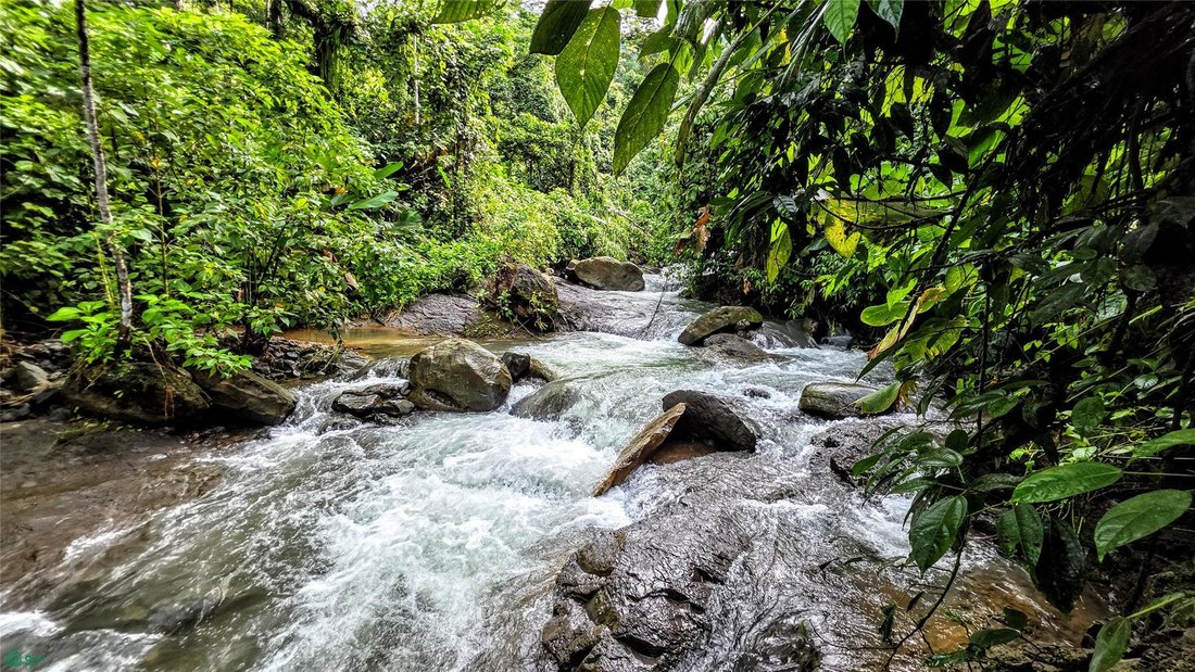 Land in Savegre de Aguirre, Puntarenas Province, Costa Rica 5 - 17810747