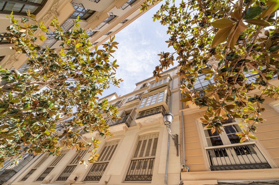 Apartment in Centro, Malaga, Spain 2 - 18589636