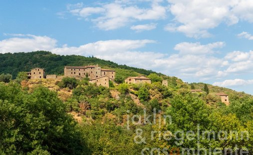 Castle in Figline Centro - Stecco, Figline e Incisa Valdarno, Tuscany 1