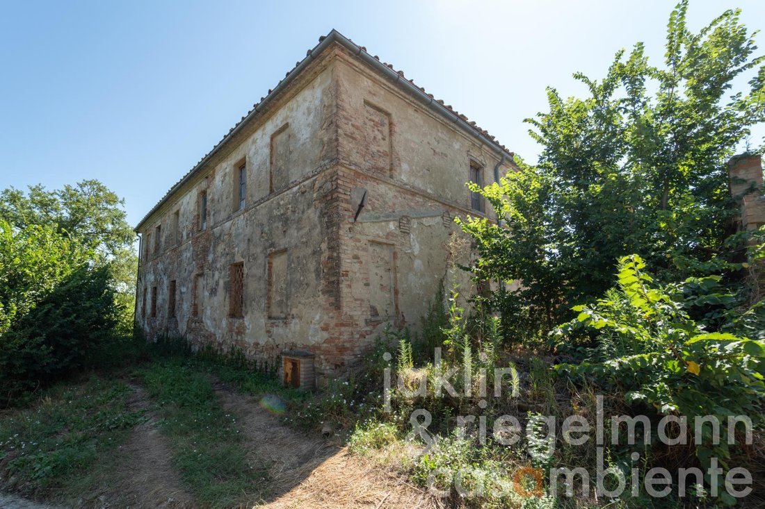 Farm Ranch in Buonconvento, Tuscany, Italy 5 - 18589025