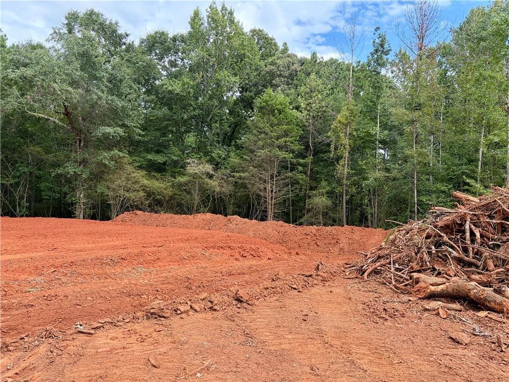 House in Williamson, Georgia, United States 5 - 18529055