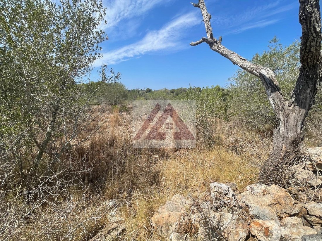 Land in Santanyi, Balearic Islands, Spain 3 - 17530701