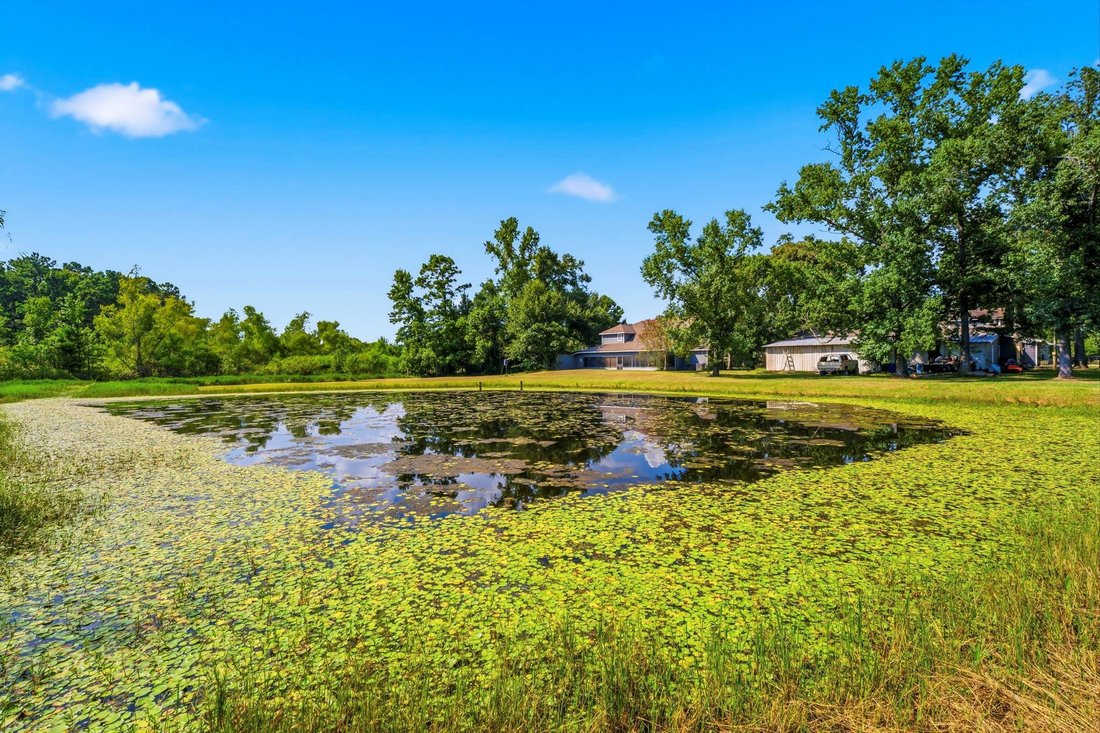 House in Conroe, Texas, United States 4 - 18592708