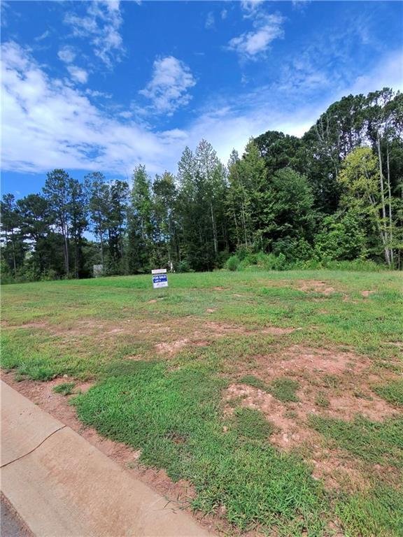 House in Williamson, Georgia, United States 4 - 18493924