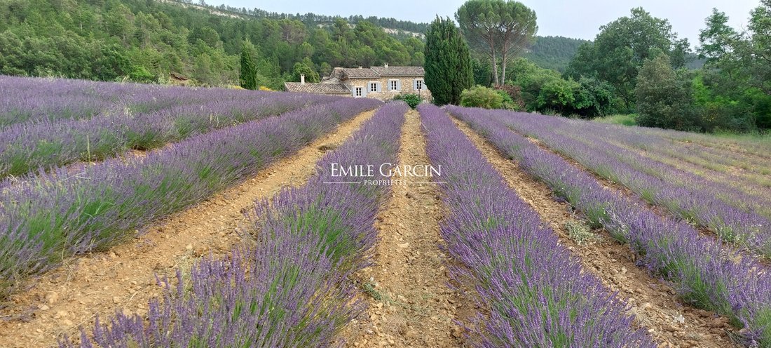 Villa in Céreste-en-Luberon, Provence-Alpes-Côte d'Azur, France 2 - 18560235