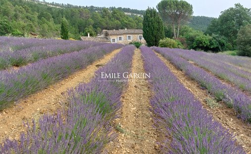 Villa in Céreste-en-Luberon, Provence-Alpes-Côte d'Azur, France 1