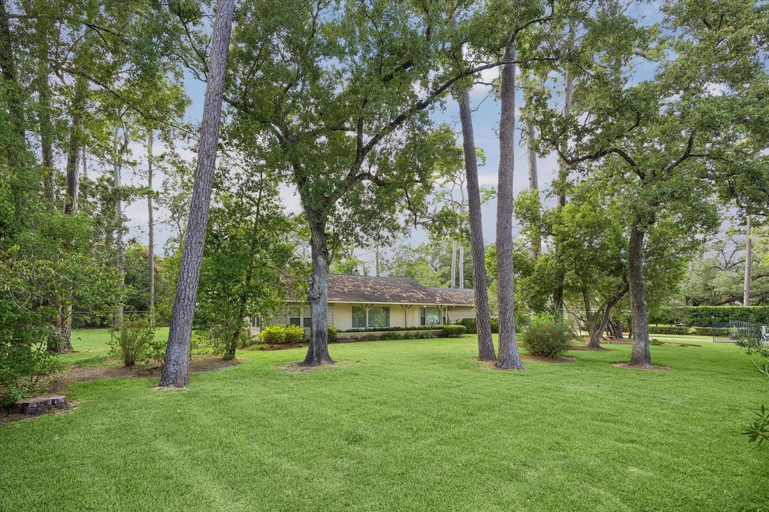 House in Houston, Texas, United States 4 - 18592651