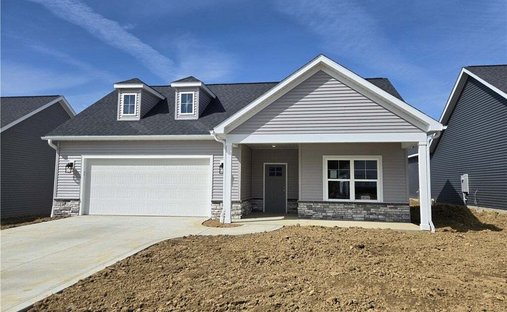 House in Canton, Ohio, United States 1