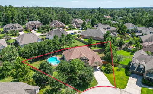 House in Conroe, Texas, United States 1