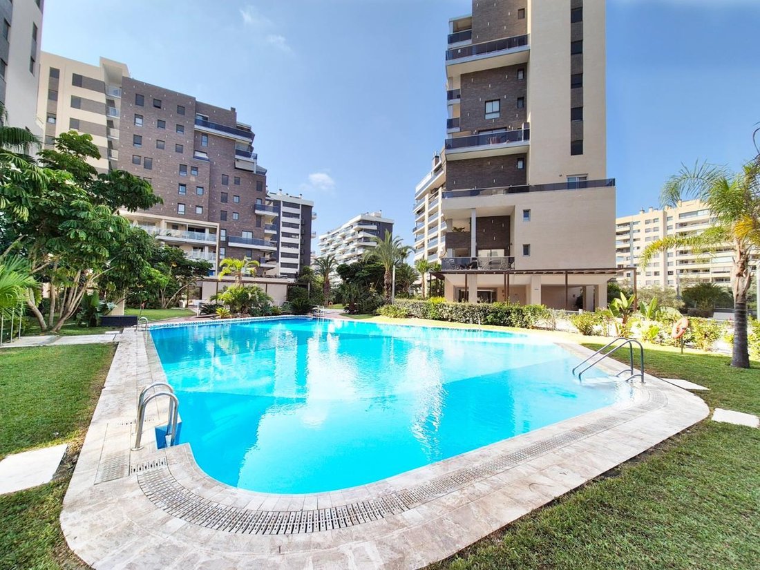 Apartment in Alicante, Valencian Community, Spain 1 - 18590024